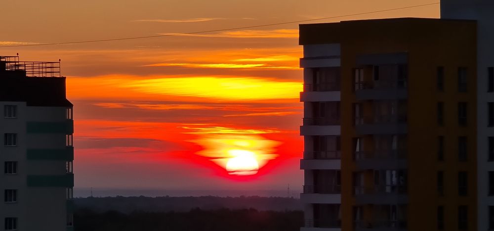 Photograph by Natasha Kim