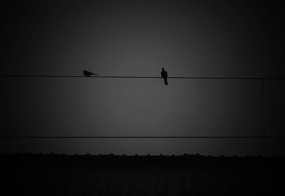 Фотография автора Saptaparna Mukherjee