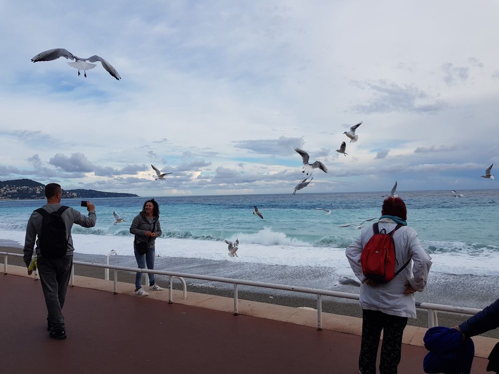 Photograph by Ирина Рудь