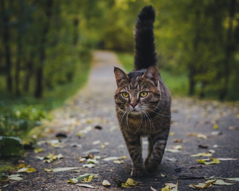 Photograph by Николай Головко