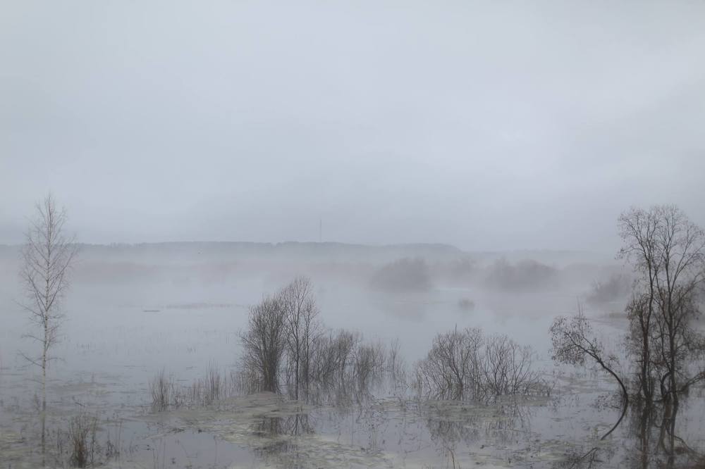 Photograph by anastasia kuskova