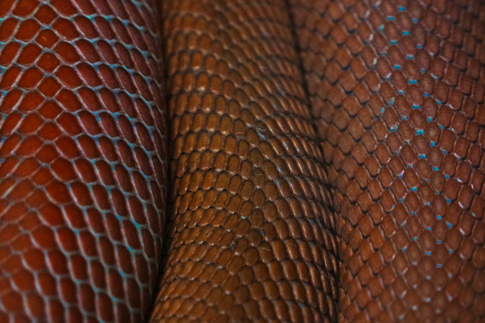 Photograph by Aleksandr Kolonsky