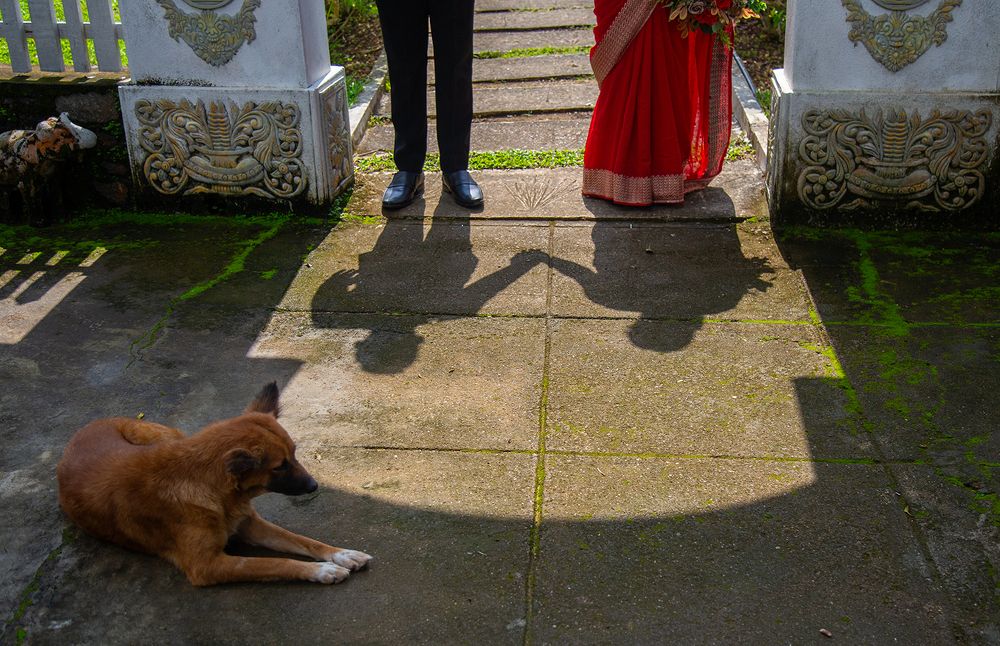 Фотография автора Laddu Sasindu Pramuditha De Silva