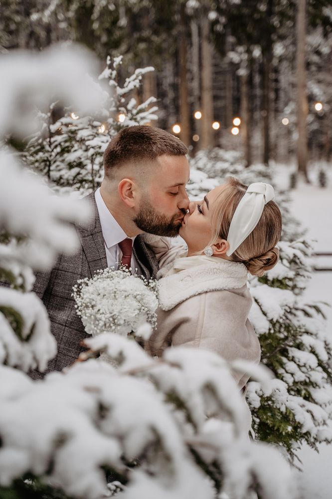 Фотография автора Александр Сенчуров