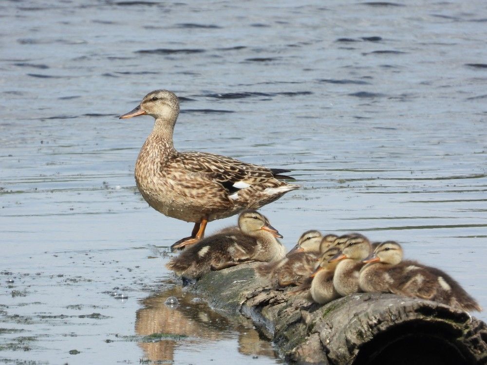 Photograph by Владимир Джерихов