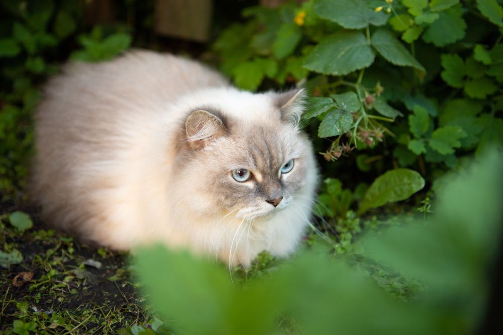 Photograph by Елена Коновницына