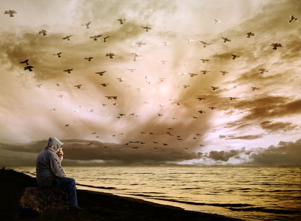 Сон о птицах