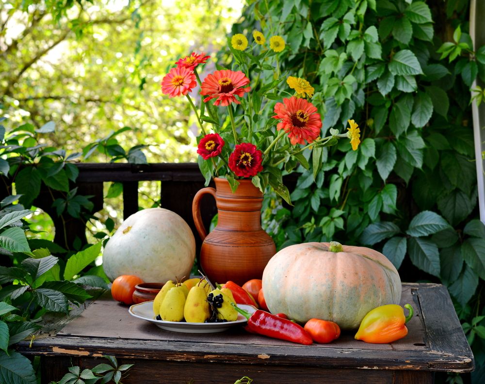 Photograph by Валерий Толмачев