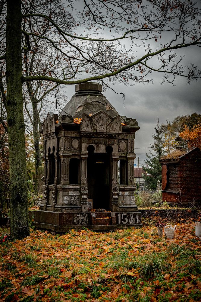 Photograph by Марина Попова