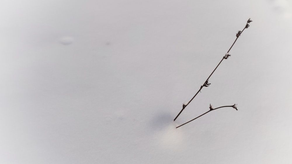 Photograph by Наталья Калюнова