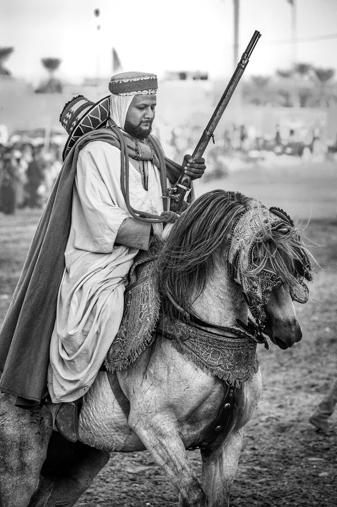 الخيل العربي الاصيل