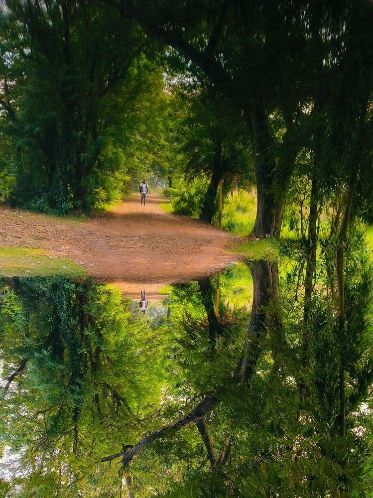 Parallel world