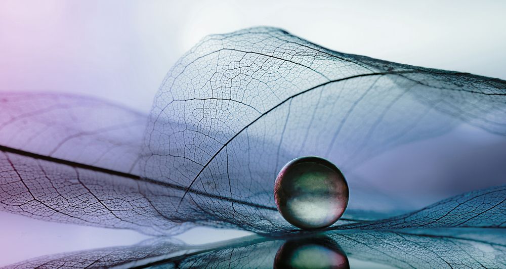 Фотография автора Мария Обидина