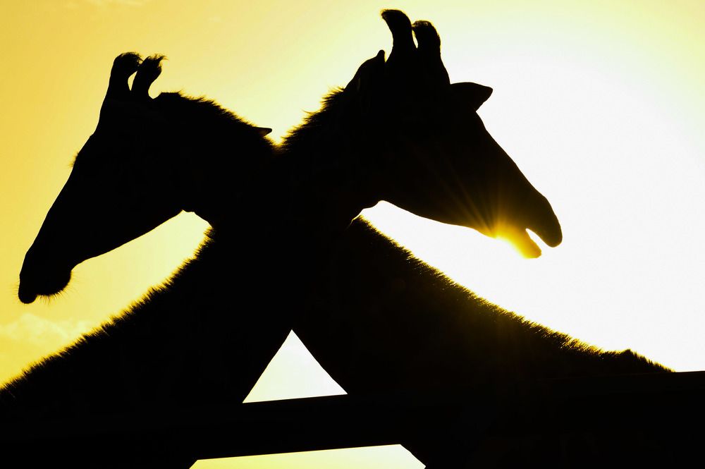 Photograph by Ganesh Paisa