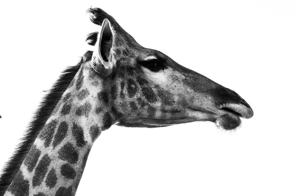 Photograph by Ganesh Paisa