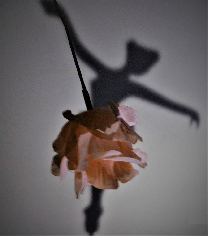 Photograph by HECTOR ANTONIO RAUCHS