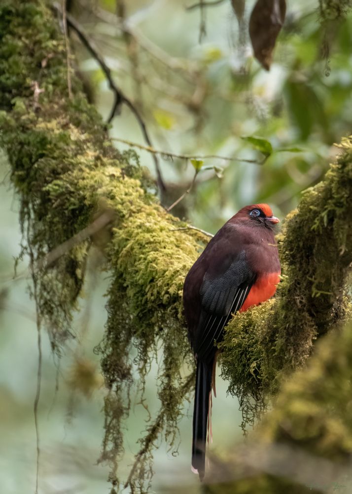 Photograph by Pompi Bera