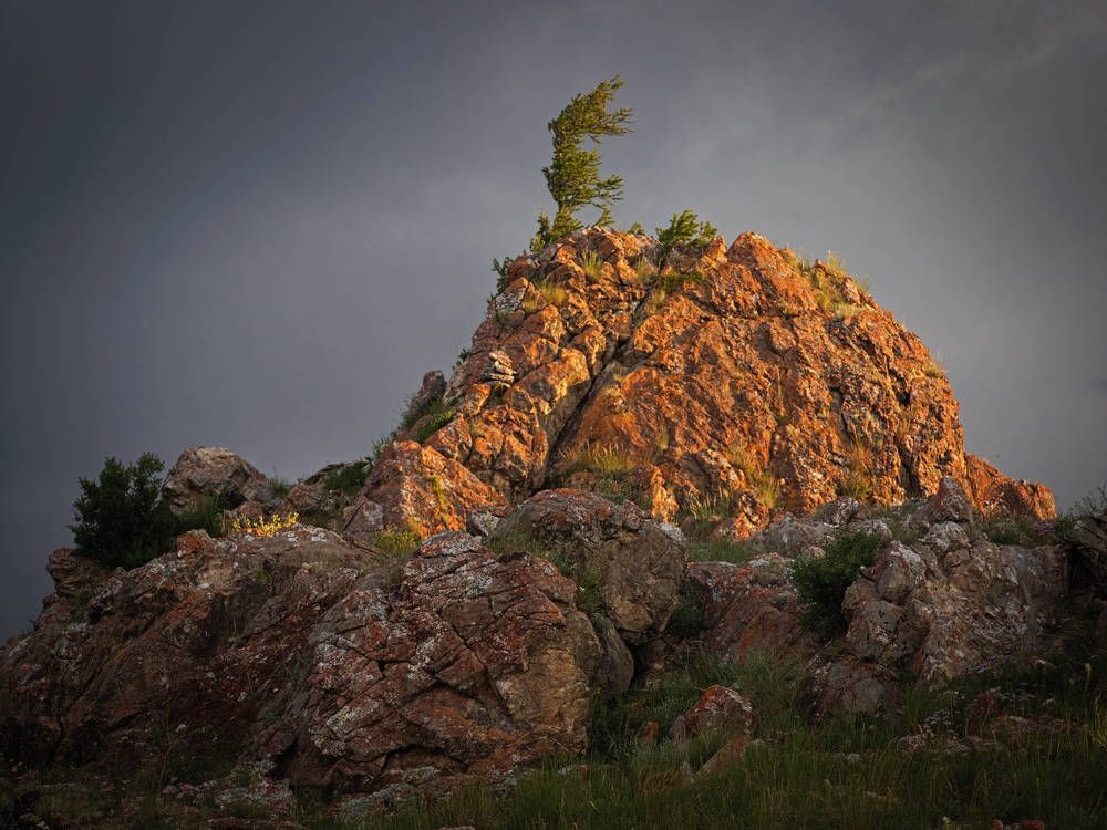 Photograph by Андрей Куприенко