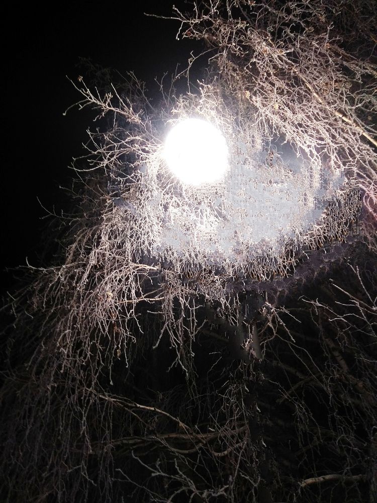 Photograph by Татьяна Кунц