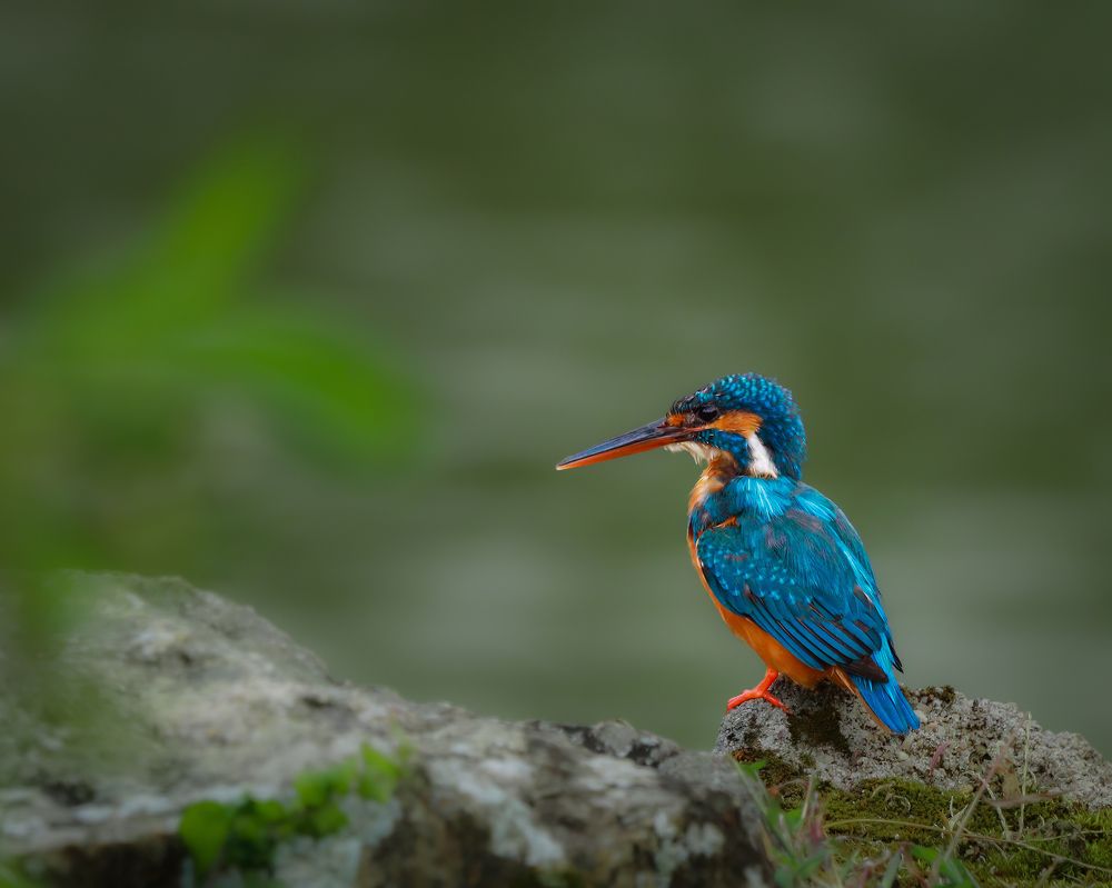 Photograph by TIJIN V S