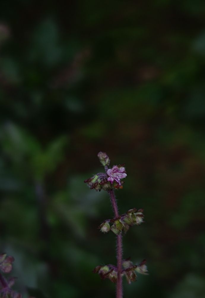 Photo #9951751