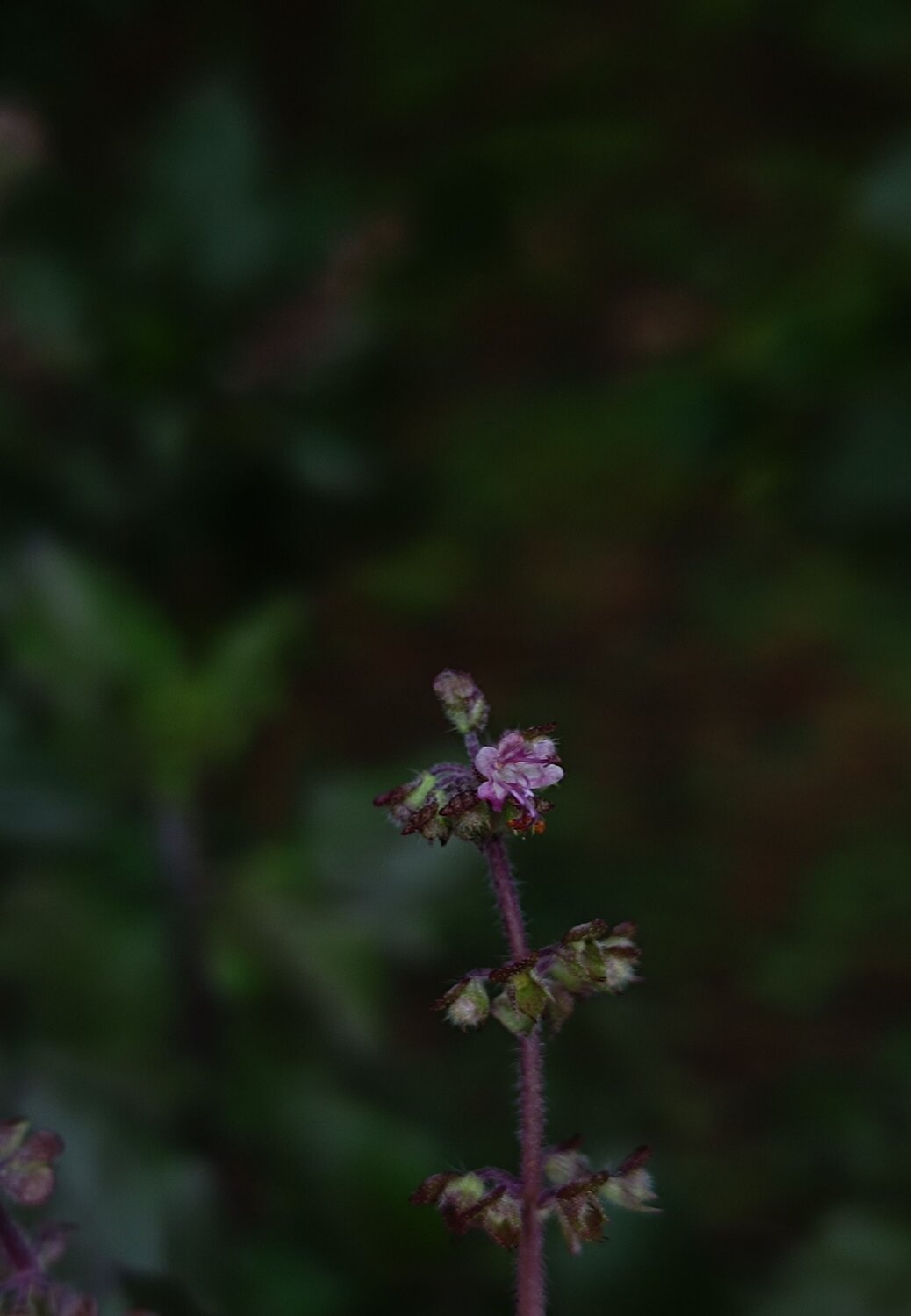 Photo #9951751