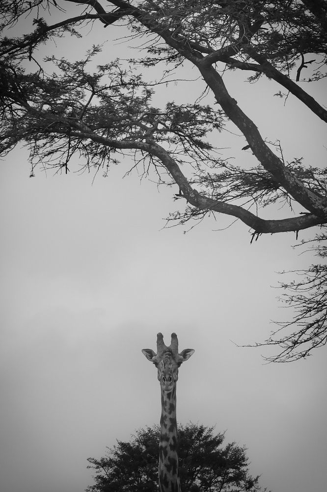 Photograph by Popiyakova Natalia