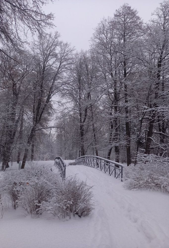 Photo #9951799