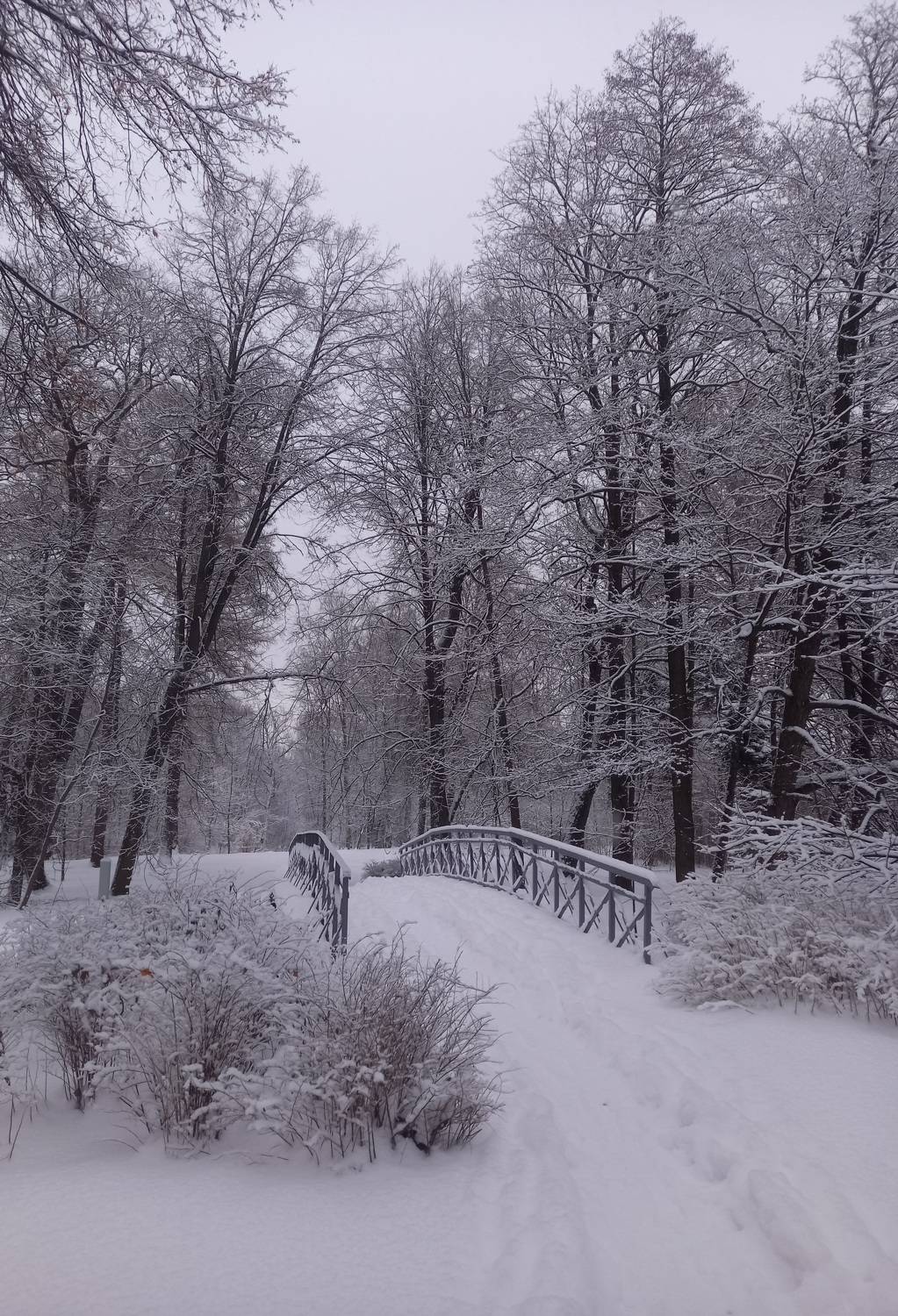 Photo #9951799