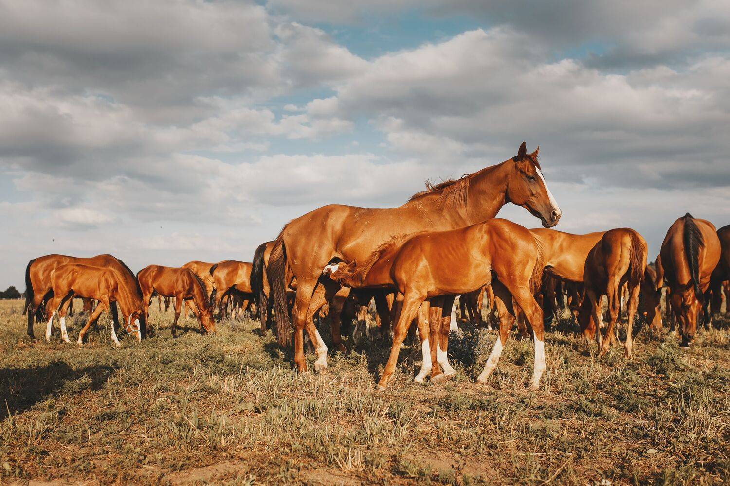 Фотография #9951806