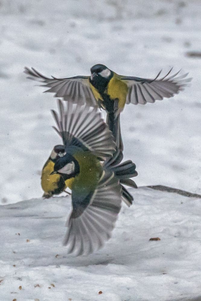 Photograph by Александр Колляков