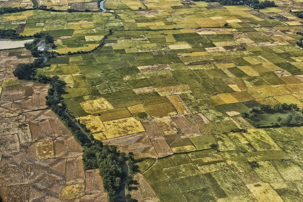 Photograph by SRIMANTA RAY