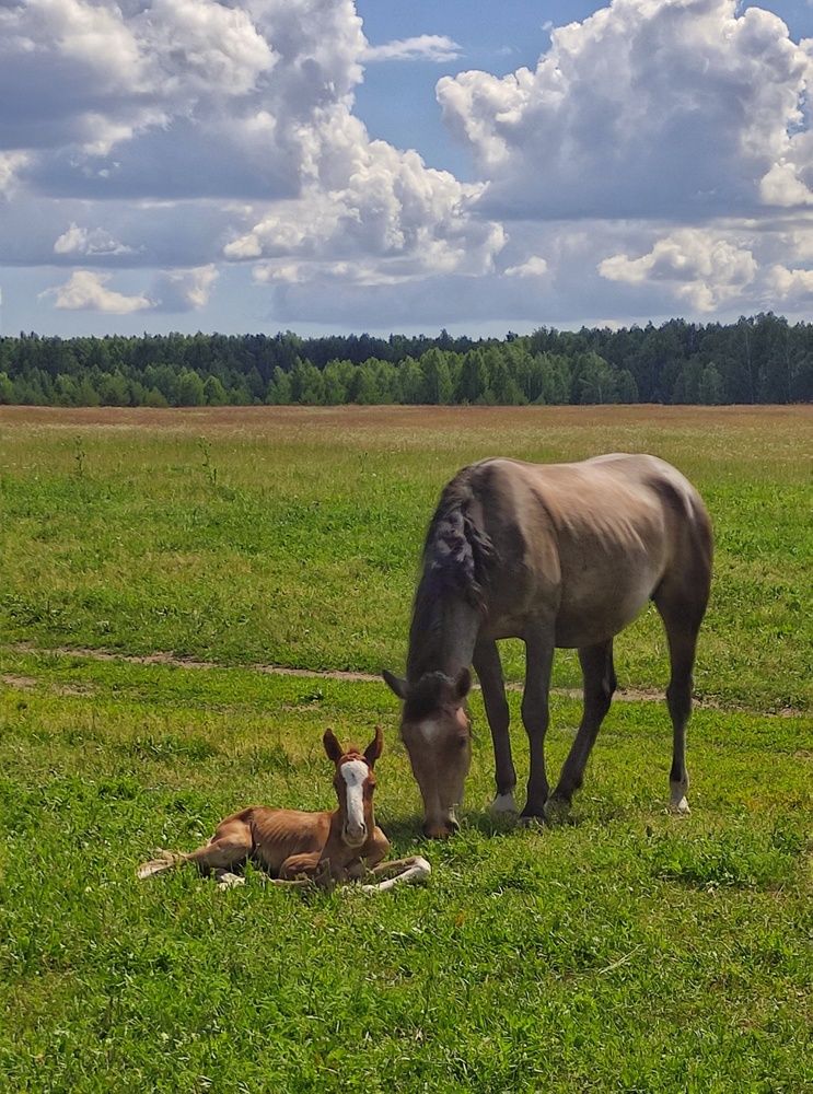 Photograph by Александр Халимов