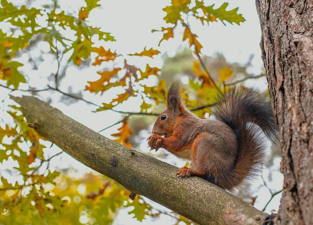 Photograph by Алексей Сиваков