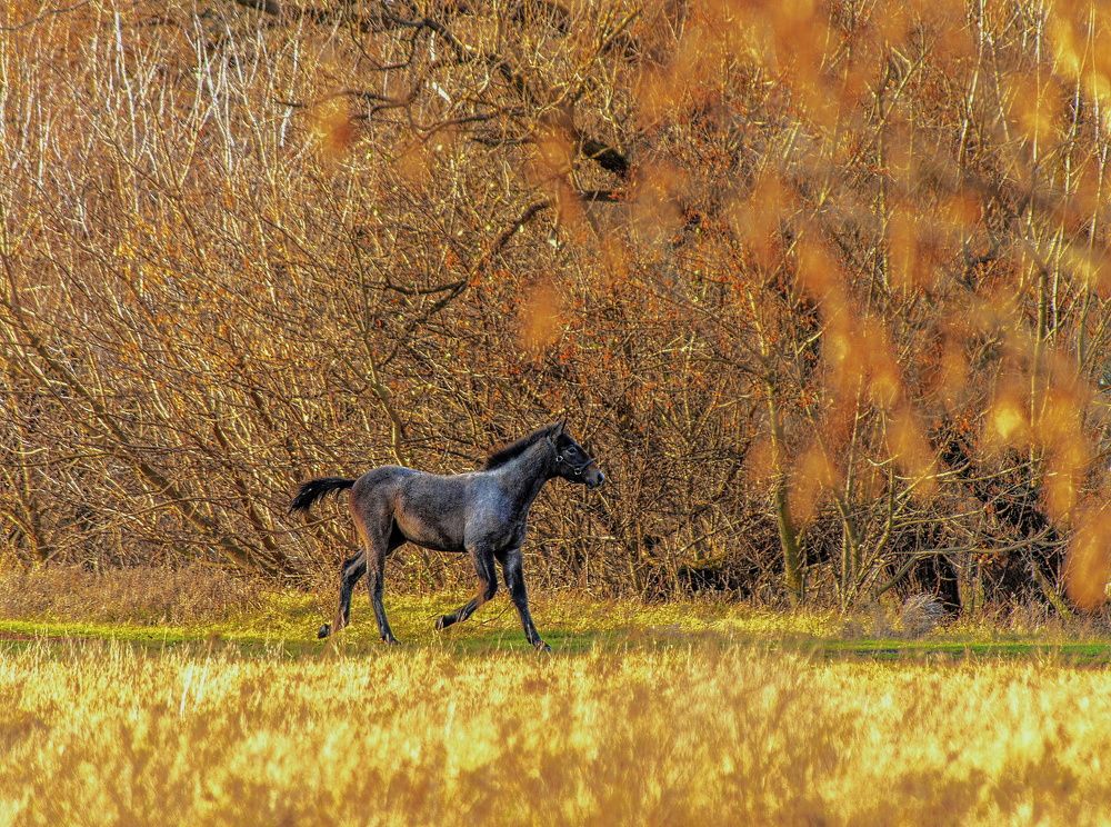 Photograph by Алексей Сиваков