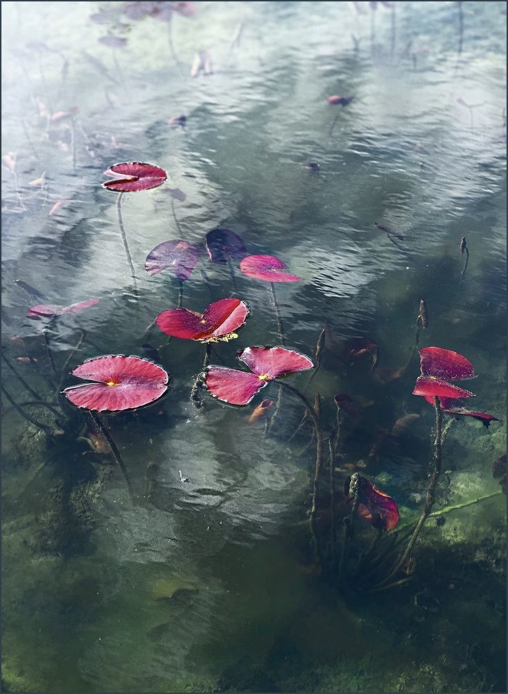 Photograph by Искандар Газизов