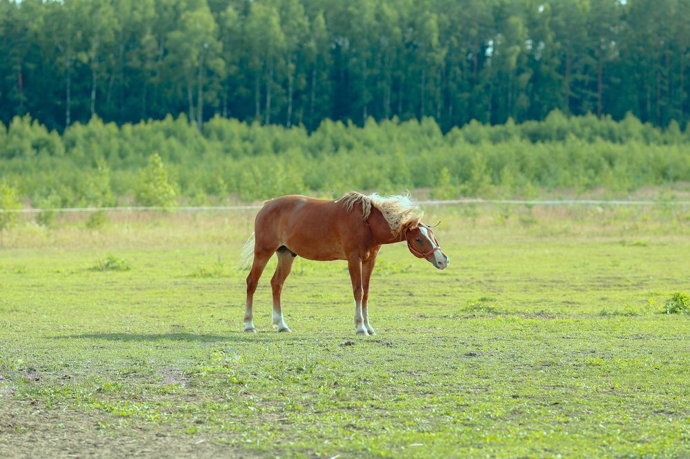 Photograph by Елена Буканина