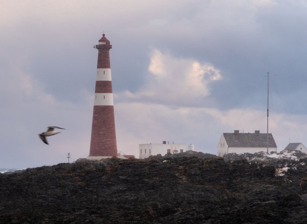 Фотография автора Дмитрий