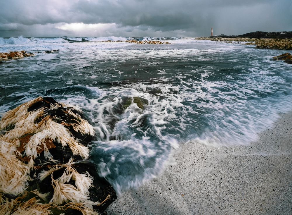 Фотография автора Дмитрий