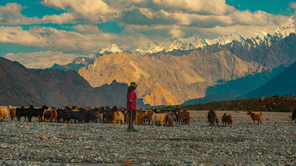 Фотография автора Ubaid Ullah Baig