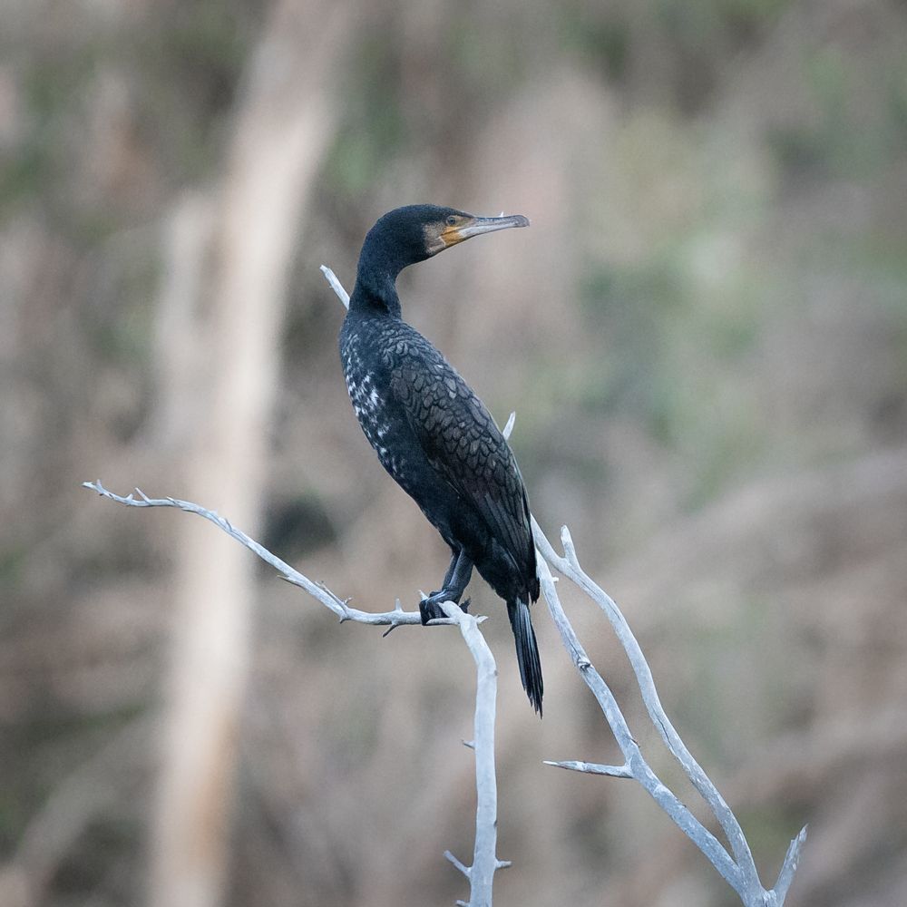 Photograph by Antonis Papaconstantinou