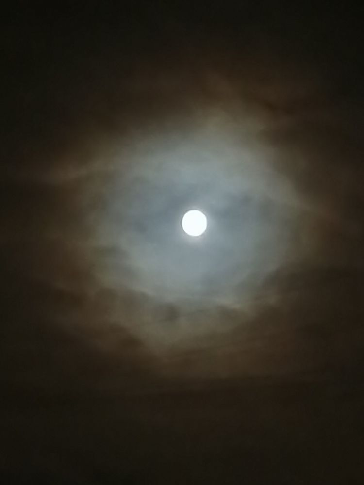 Photograph by Наталия