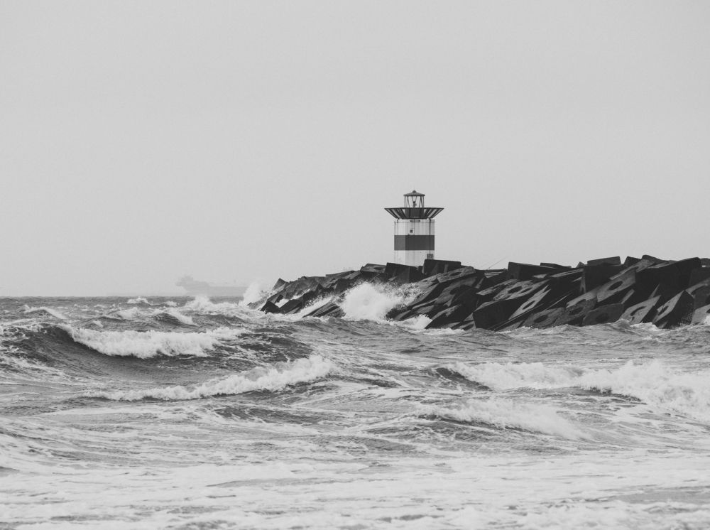 Photograph by Протченко Ирина