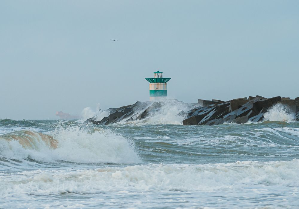 Photograph by Протченко Ирина