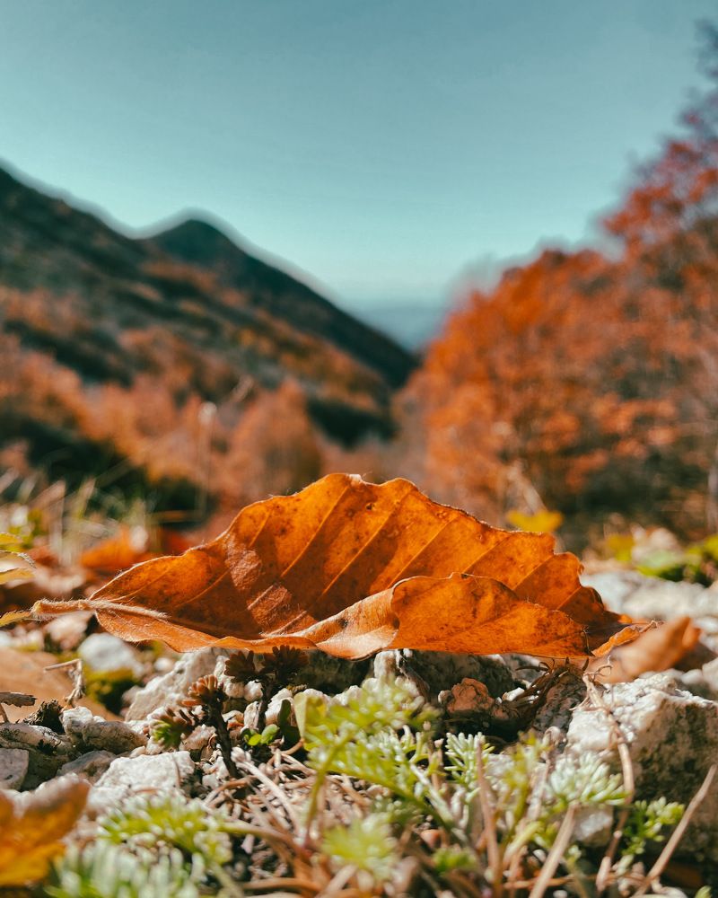 Photograph by Козинец Александр