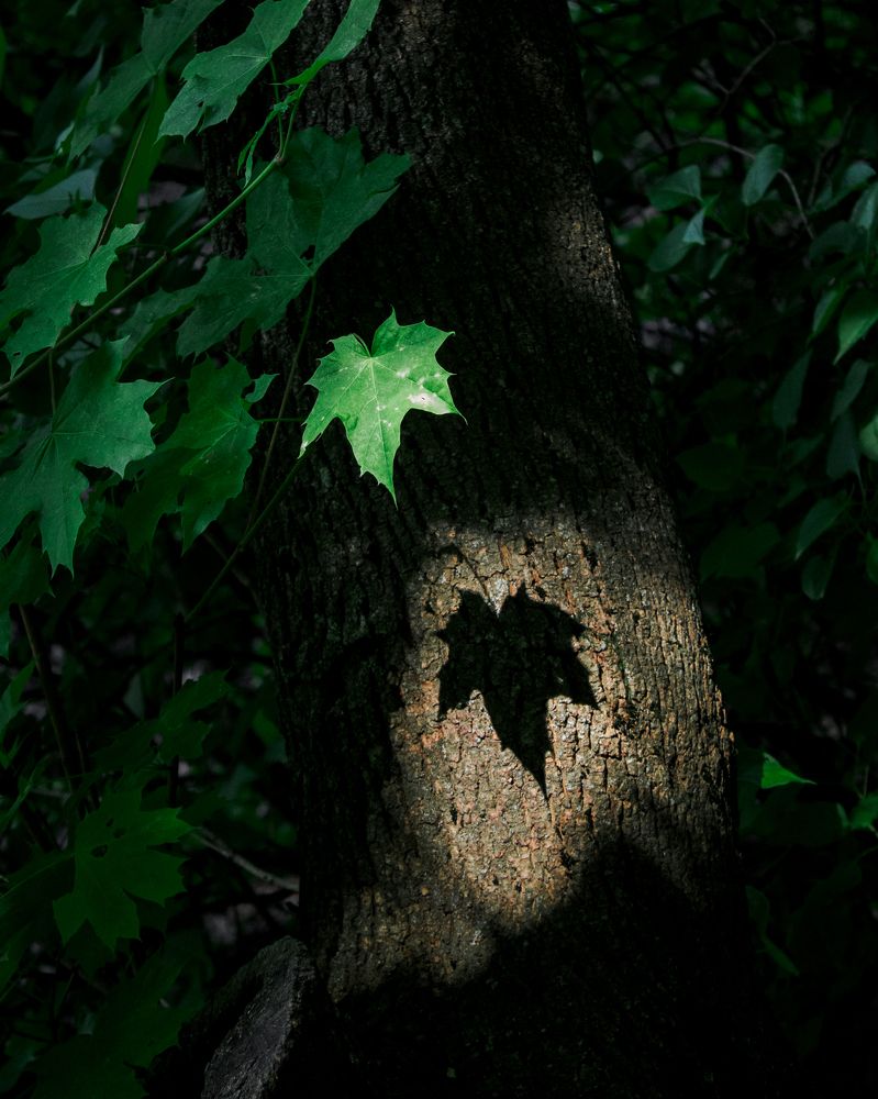 Photograph by Mikhail