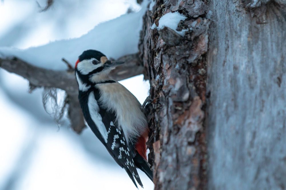 Photograph by Александр Бакин