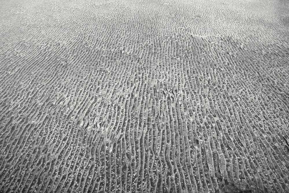 Фотография автора Ян Абдулаев