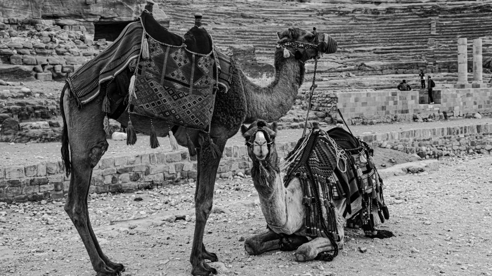 Photograph by Daler Ishankulov