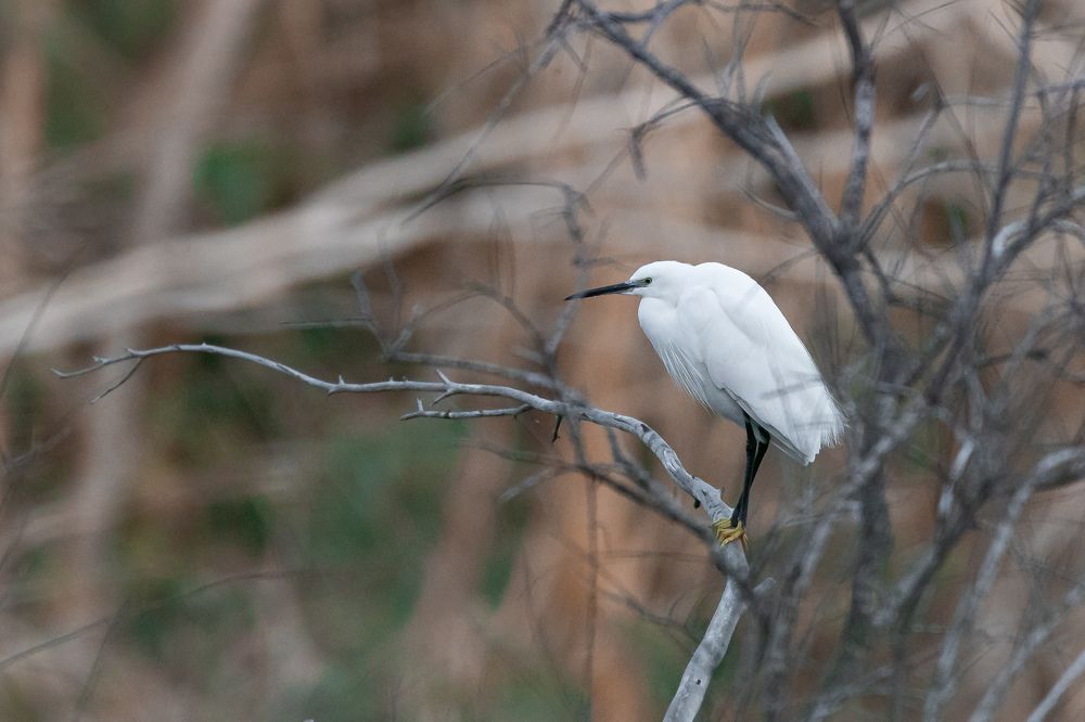 Photograph by Antonis Papaconstantinou